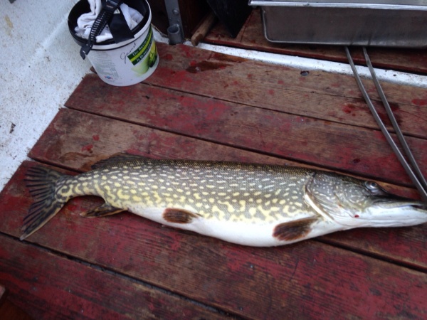 IMG-20151208-WA0006 IMG-20151208-WA0006