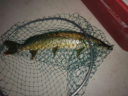 IMG-20151217-WA0005 IMG-20151217-WA0005