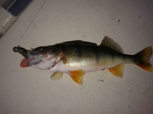 IMG-20151217-WA0006 IMG-20151217-WA0006