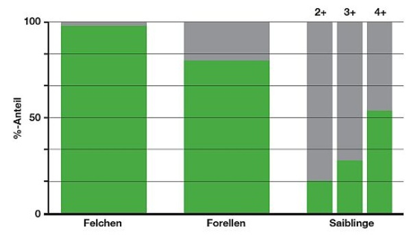 Abbildung3 552