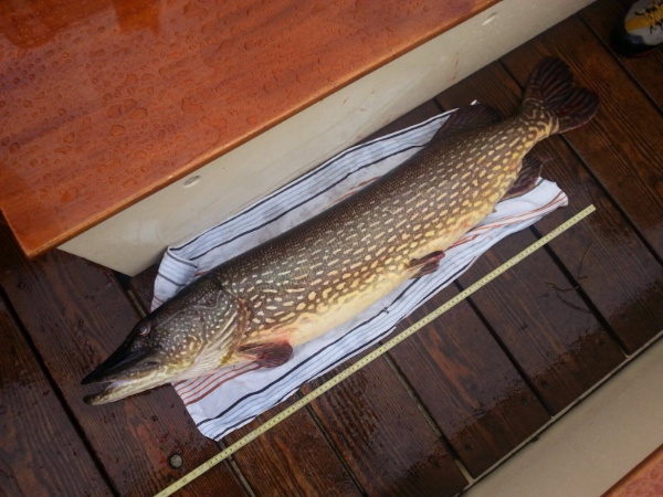 IMG-20160501-WA0019 IMG-20160501-WA0019