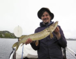 IMG 2098-186x145 IMG 2098-186x145
