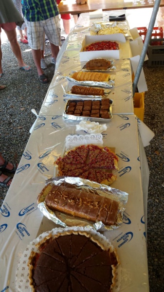 IMG-20160709-WA0011 IMG-20160709-WA0011