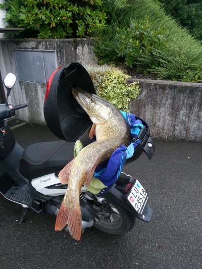 IMG-20160714-WA0000 IMG-20160714-WA0000