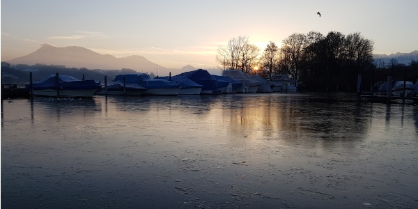 Winter-Impressionen 20170129 081936
