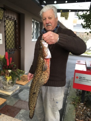 Gino Stiz IMG 2230