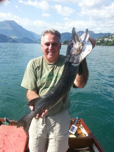 IMG-20170709-WA0004 IMG-20170709-WA0004