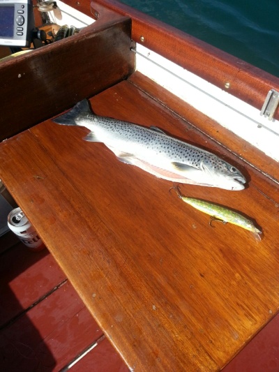 IMG-20170709-WA0001 IMG-20170709-WA0001