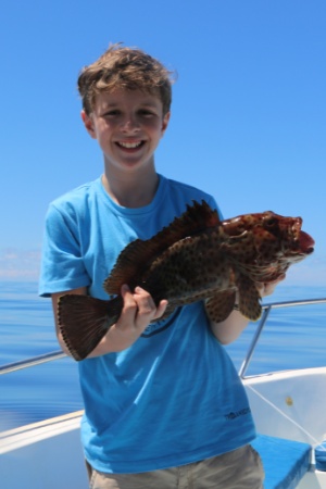 Fabio Grouper Fabio Grouper