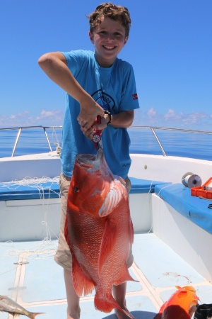 Fabio Red Snapper 1 Fabio Red Snapper 1