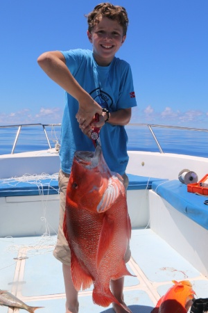 Fabio Red Snapper 1