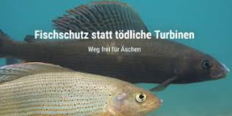 Unbenannt 11 Unbenannt 11