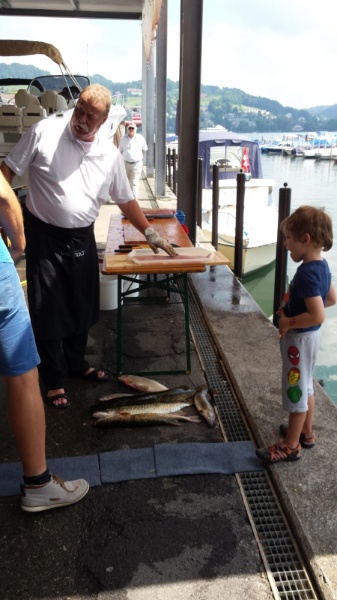 IMG-20180708-WA0025 IMG-20180708-WA0025