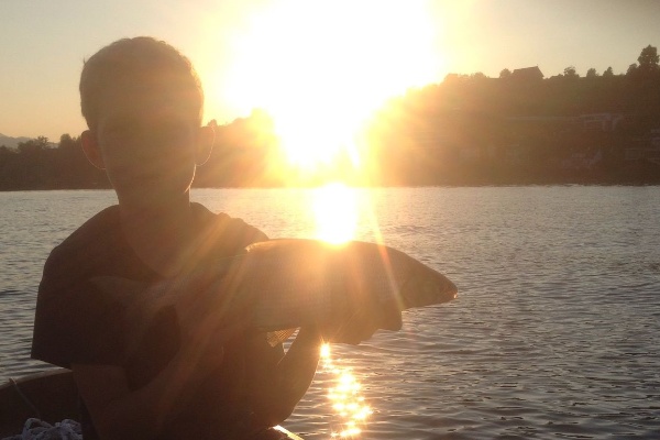 Felchenfischen bei Sonnenuntergang Felchenfischen bei Sonnenuntergang