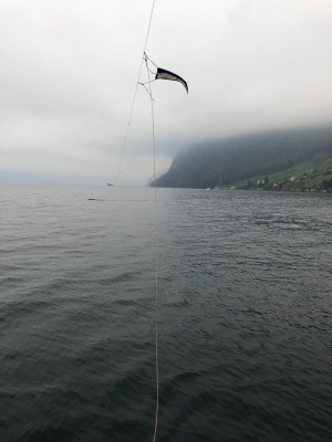 IMG-20181226-WA0019 IMG-20181226-WA0019