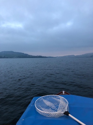 IMG-20181226-WA0015 IMG-20181226-WA0015