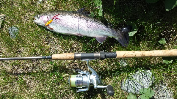 IMG-20190630-WA0020 IMG-20190630-WA0020