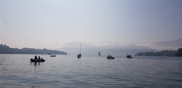 Felchenstimmung in der Luzerner Bucht