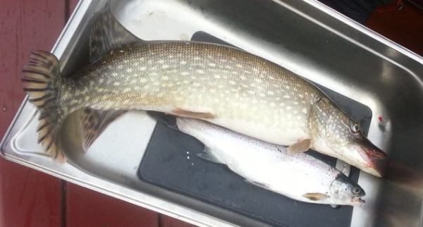 IMG-20191227-WA0001 IMG-20191227-WA0001