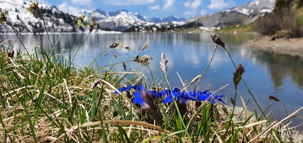 Engstlensee 7 Engstlensee 7