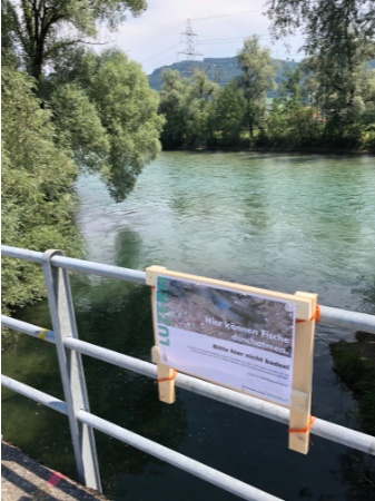 MM Retten was zu retten ist Plakat bei Fluss