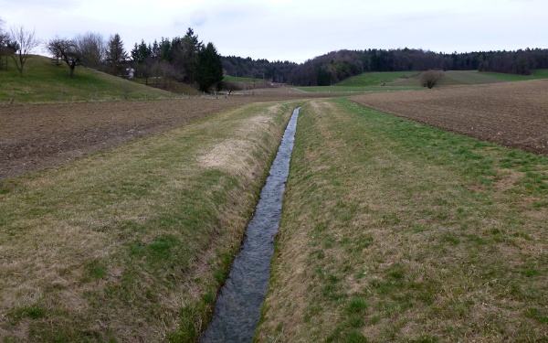 csm ossingen 43f1f06234