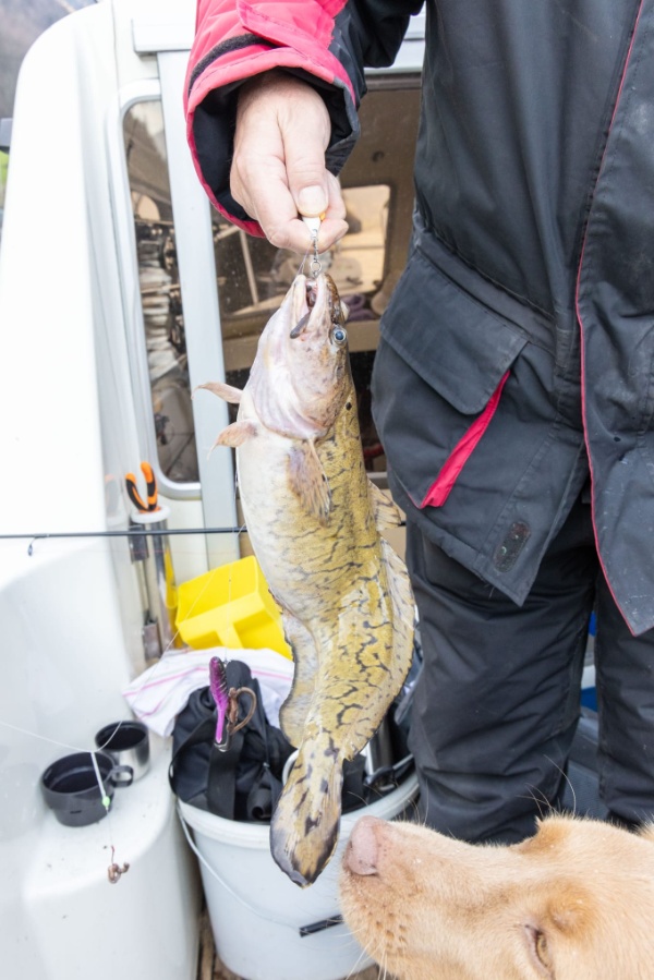 IMG-20250310-WA0019