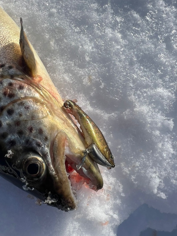 IMG-20260114-WA0039 IMG-20260114-WA0039