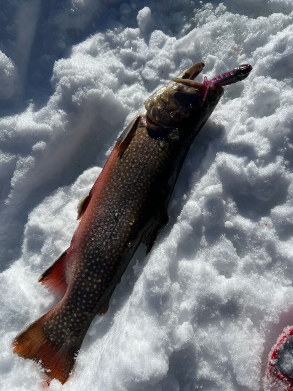 IMG-20260114-WA0040 IMG-20260114-WA0040