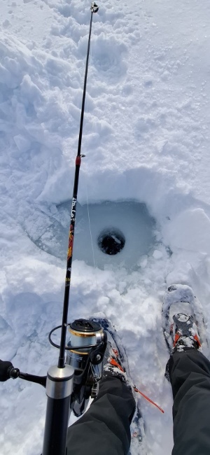 IMG-20260114-WA0041 IMG-20260114-WA0041