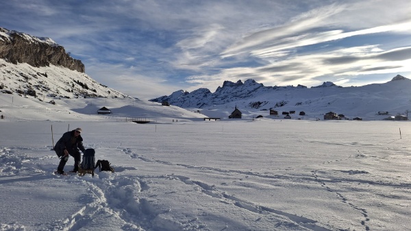 motion photo 8310122363277278418 motion photo 8310122363277278418