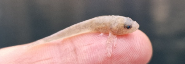 Trueschen 25 01 2026 - 1 Trueschen 25 01 2026 - 1