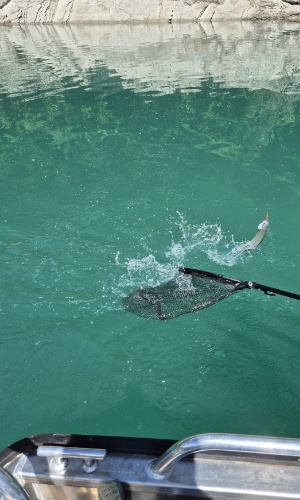 IMG-20260509-WA0053