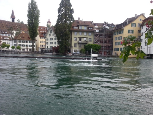 20130603_085658.jpg