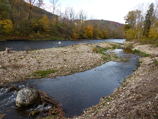 abb1 flussrevitalisierung