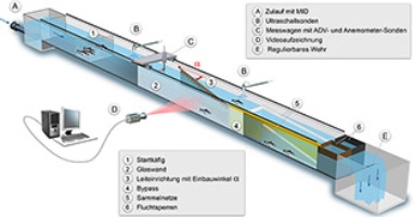 schema versuchsanordnung