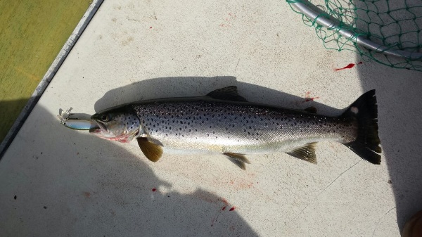 IMG-20150308-WA0021 IMG-20150308-WA0021
