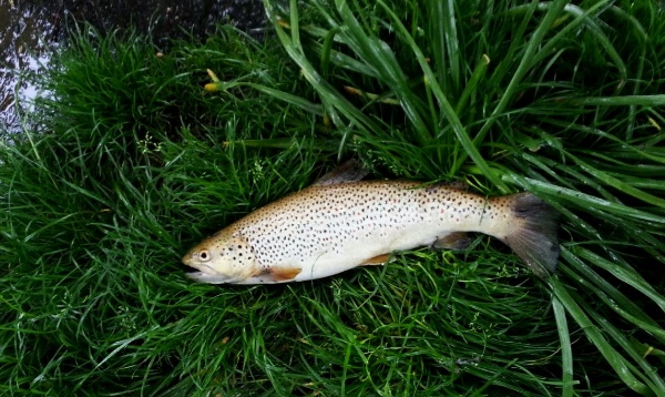 IMG-20150506-WA0001 IMG-20150506-WA0001