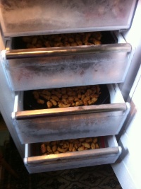 G in den Frigo G in den Frigo