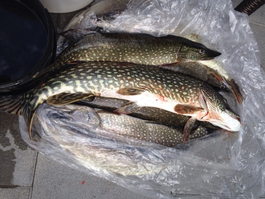 IMG-20150919-WA0006 IMG-20150919-WA0006
