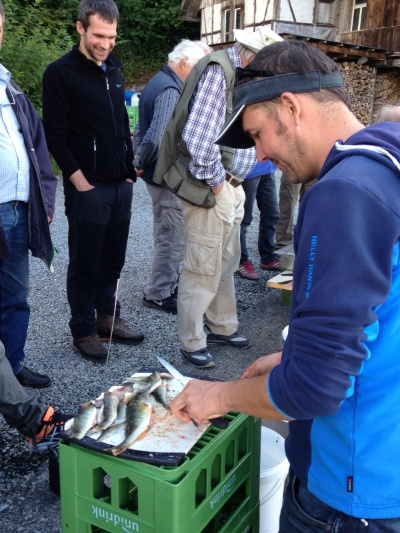 IMG-20150919-WA0011 IMG-20150919-WA0011