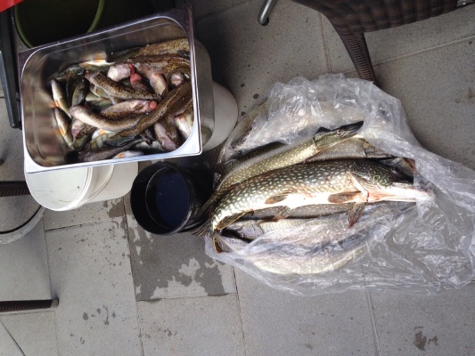 IMG-20150919-WA0013 1