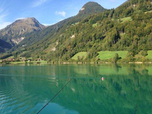 IMG-20150926-WA0008 IMG-20150926-WA0008