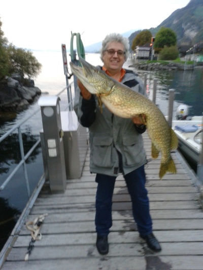 IMG-20151009-WA0003 IMG-20151009-WA0003